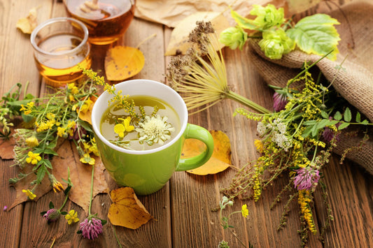 A cup of herbal tea surrounded by various natural health supplements benefits including flowers and leaves