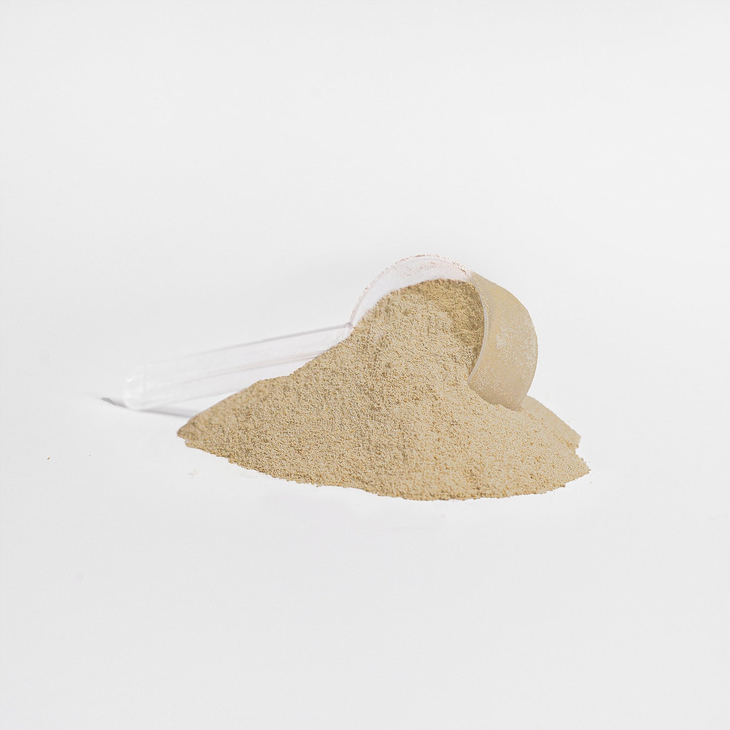 Alpha Omega Vitality vegan vanilla protein powder in a scoop with powdered texture
