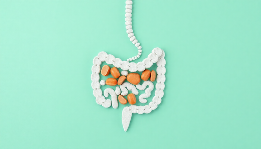 Illustration of intestines with pills representing adaptogens for gut health