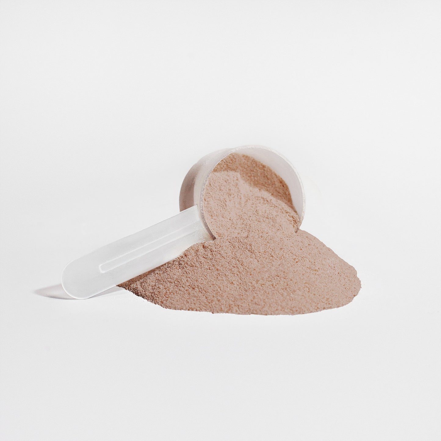 Chocolate Plant Protein Powder